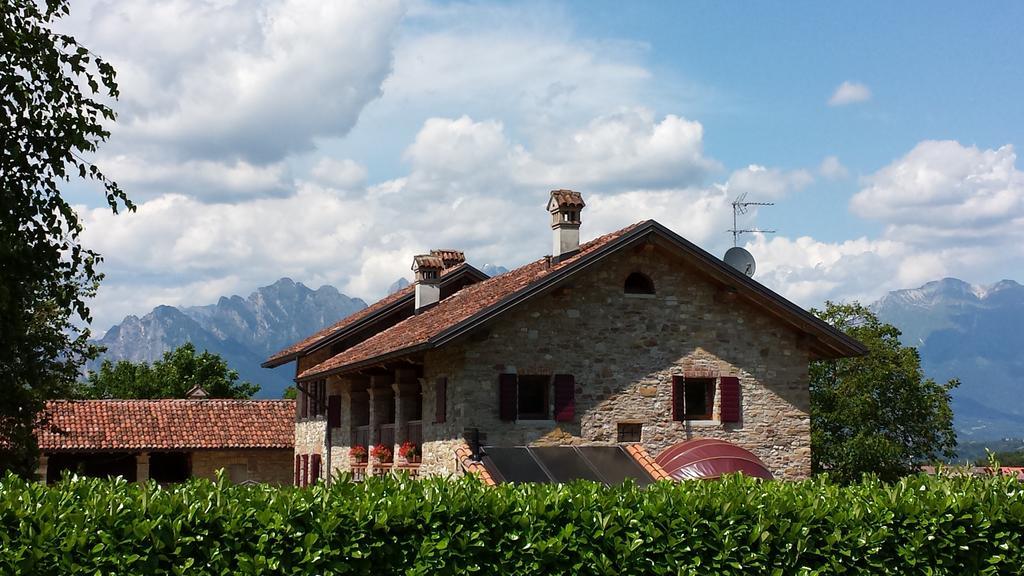 Agriturismo Casteldardo Guest House Trichiana Ngoại thất bức ảnh